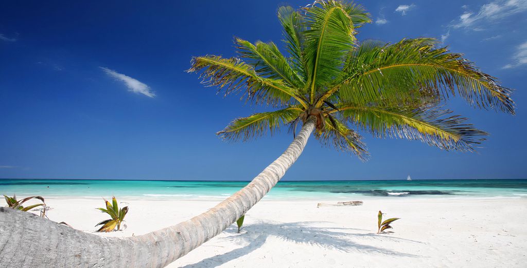 Séjour à Playa Del Carmen