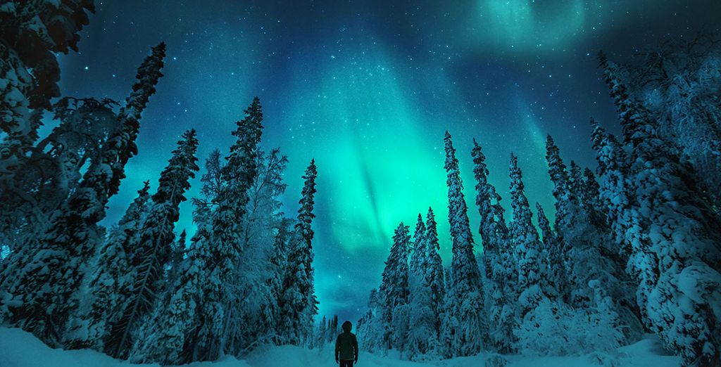 La Laponie en train avec nuit au SnowHotel