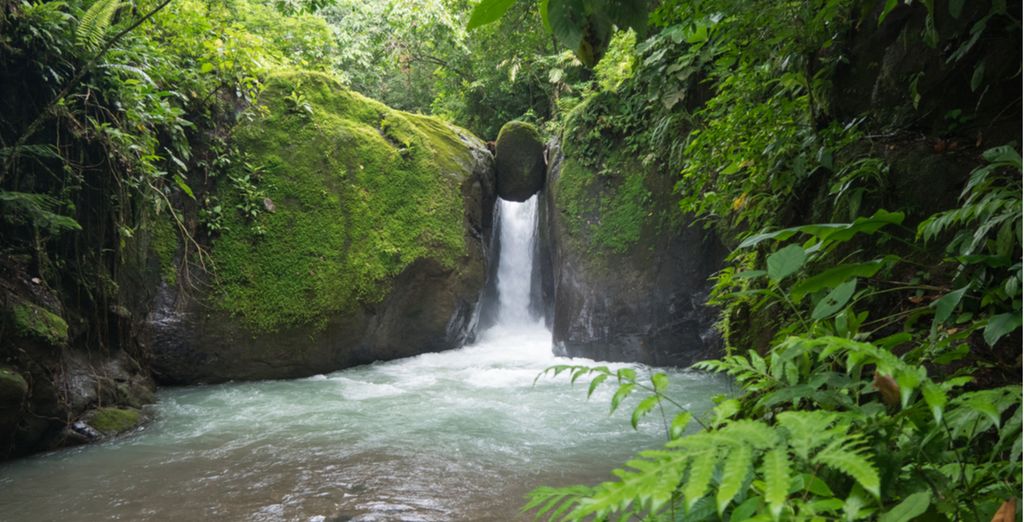 Autotour Les Joyaux naturels du Costa Rica en 10, 12 ou 14 nuits