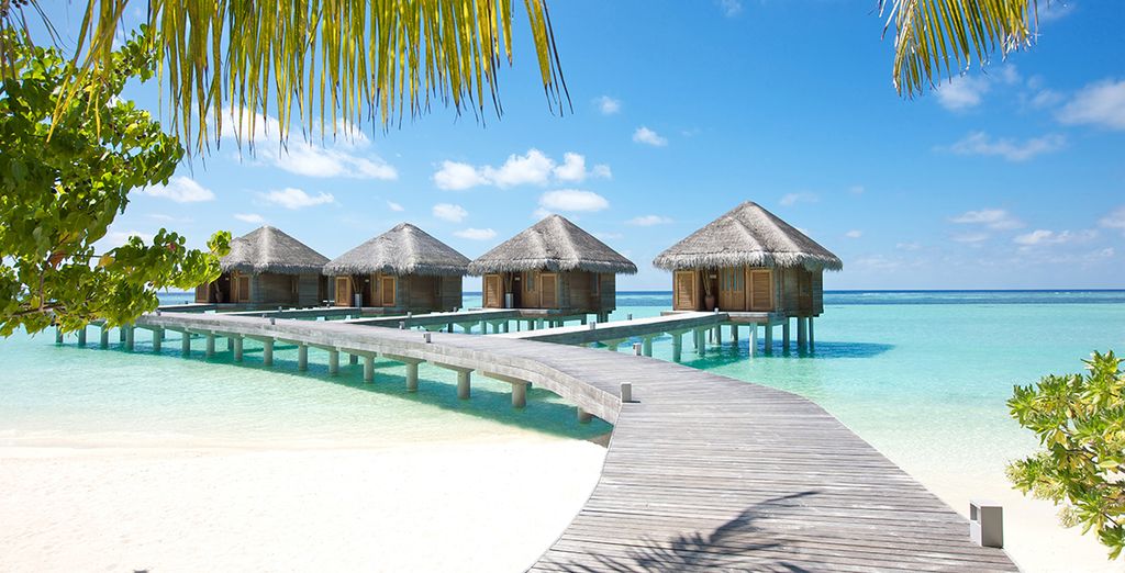 voyage maldives 5 etoiles