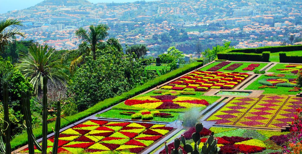 Hôtel Funchal Design 4*