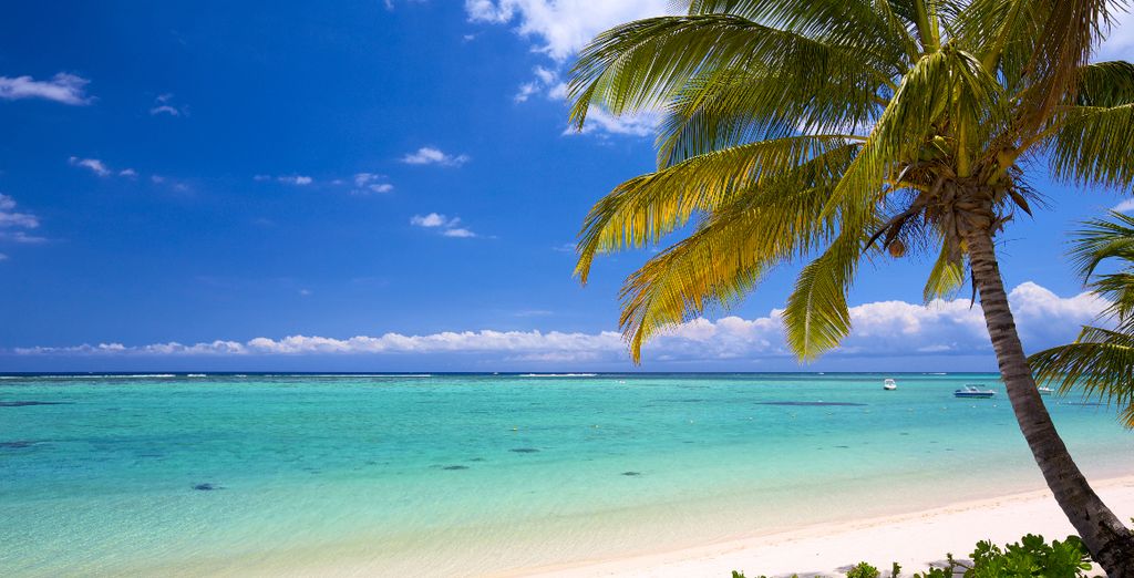 Plage de sable fin de Mayotte et eaux turquoise avec vue sur l'océan