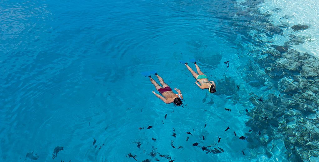 Hôtel Vilamendhoo Island Resort & Spa 4*