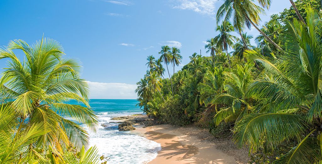 Circuit Découverte du Costa Rica et du Panama 10 ou 12 nuits - San Jose ...