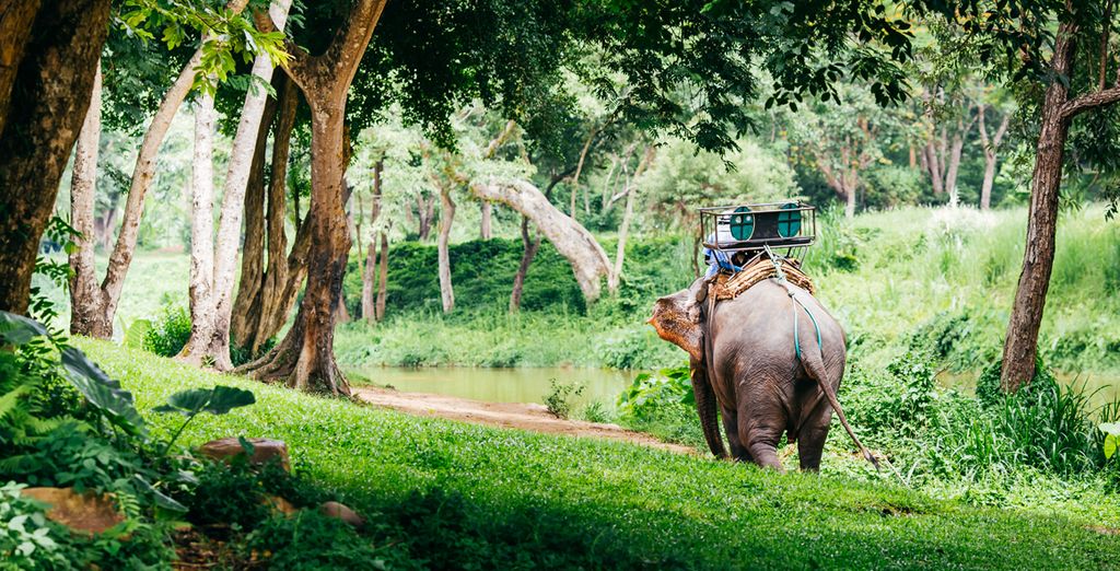 Vols Paris/Bangkok, Paris/Phuket, Paris/Bangkok/Phuket et Paris/Bali avec Malaysia Airlines en classe économique