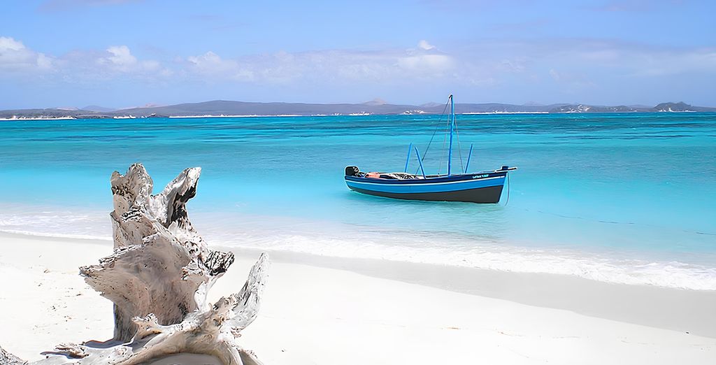 Jacaranda Beach Resort con possibile safari