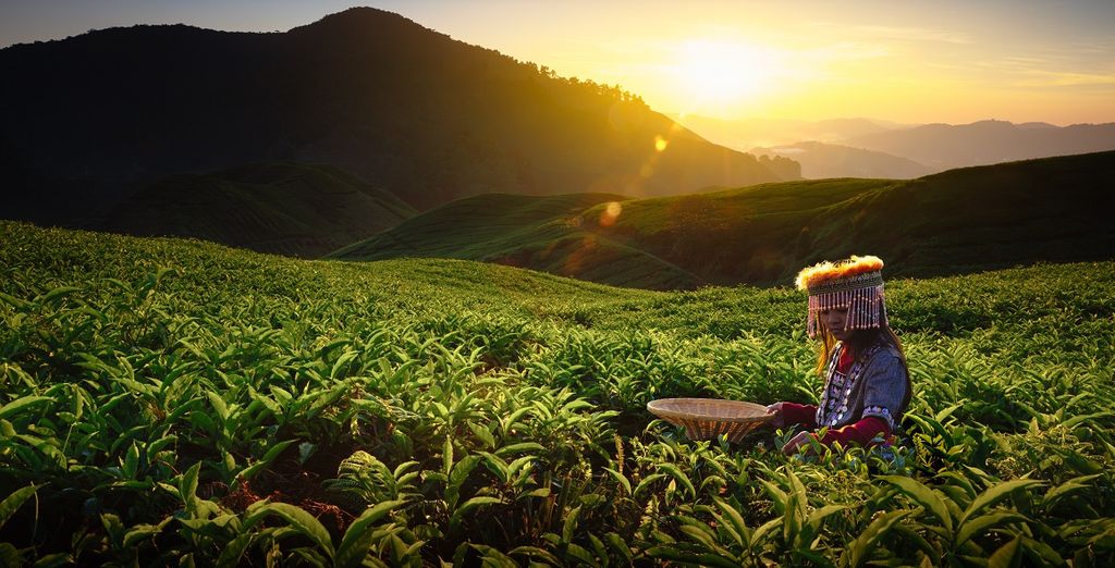 Tour Malesia + Chanalai Flora Resort Phuket