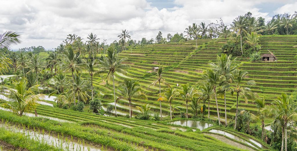 Tour Bali & le sue spiagge