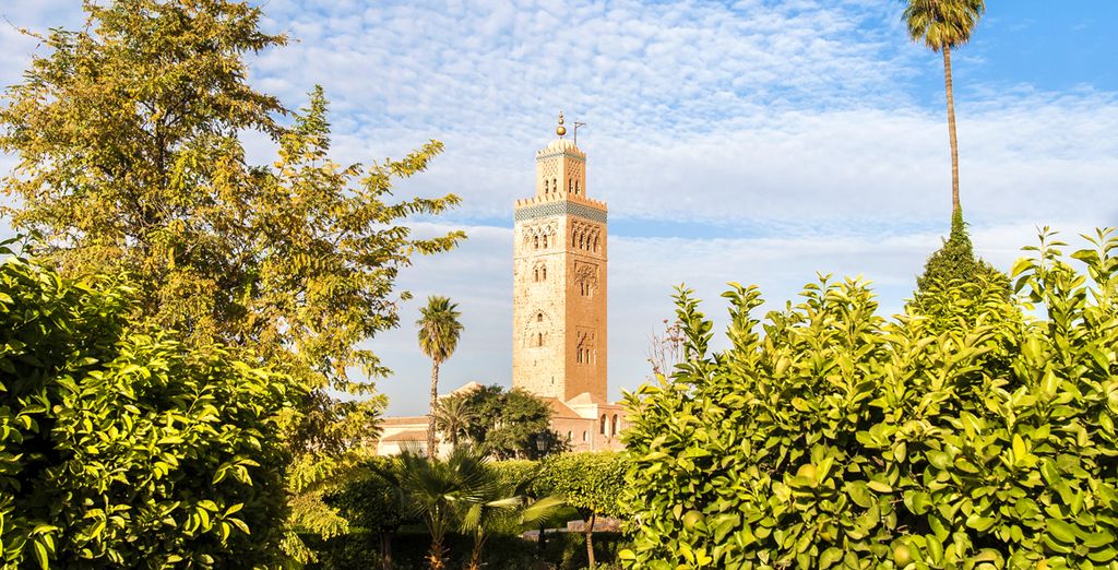 Riad Maipa