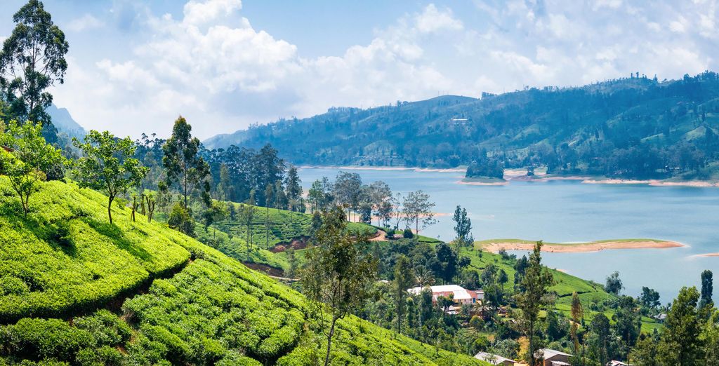 Tour Sri Lanka + Safari