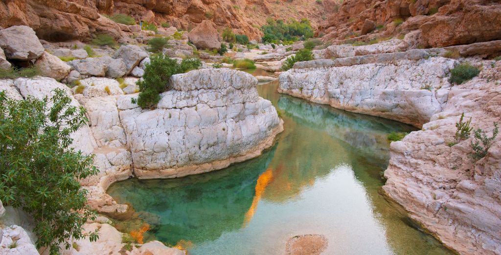 Tour dell'Oman con guida locale parlante italiano