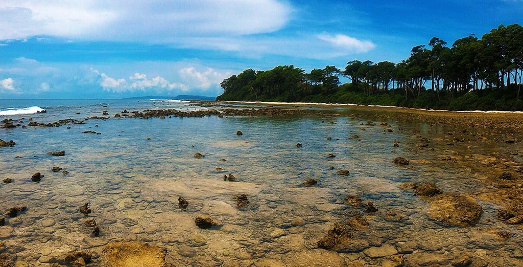 Tour privato del Kerala con soggiorno alle Isole Andamane