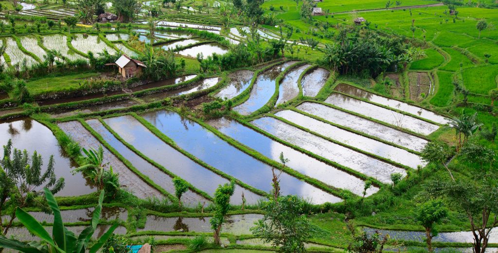 Tour di Bali e Lombok