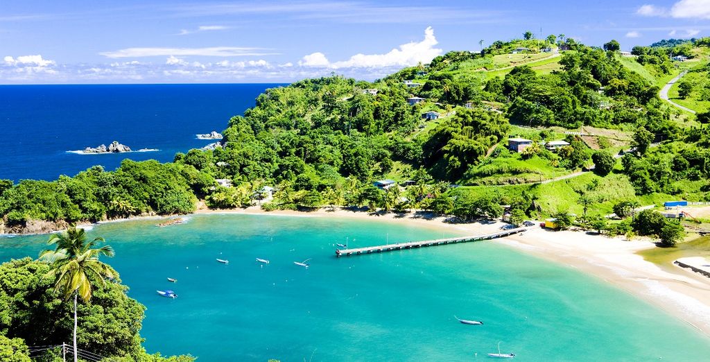 Crociera: 2 itinerari nelle Isole Vergini Britanniche e Tobago