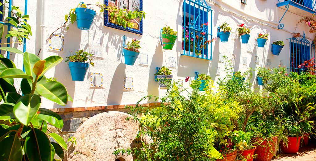 Hotel Gran Cervantes by BLUESEA 4*