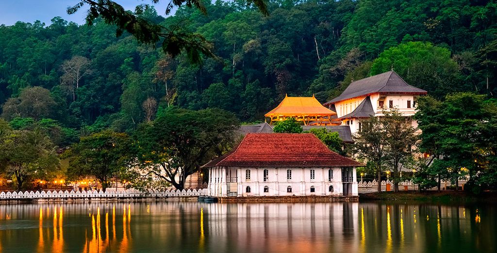Tour dello Sri Lanka + Vakarufalhi Island Resort 5*