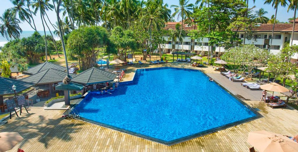 Tour privato Sri Lanka + Tangerine Beach Hotel 4*