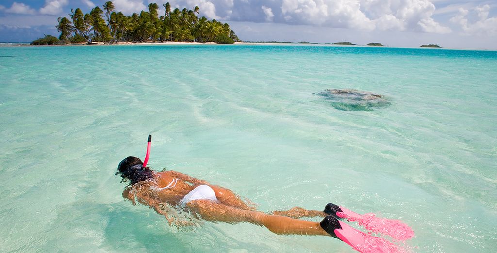 Holiday Island 4* - Sun Island 4* - Paradise Island 5*