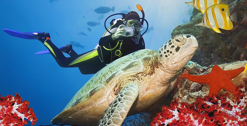 SPECIALE FESTIVITA' - Rohanou Beach Resort & Ecolodge 4*