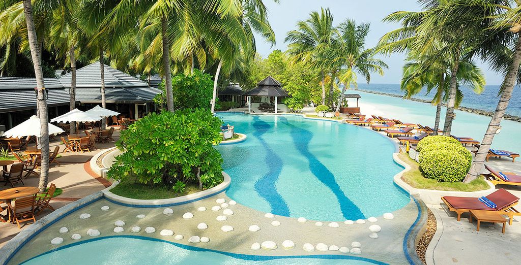 Tour privato Sri Lanka 5* + Royal Island Maldives 5*