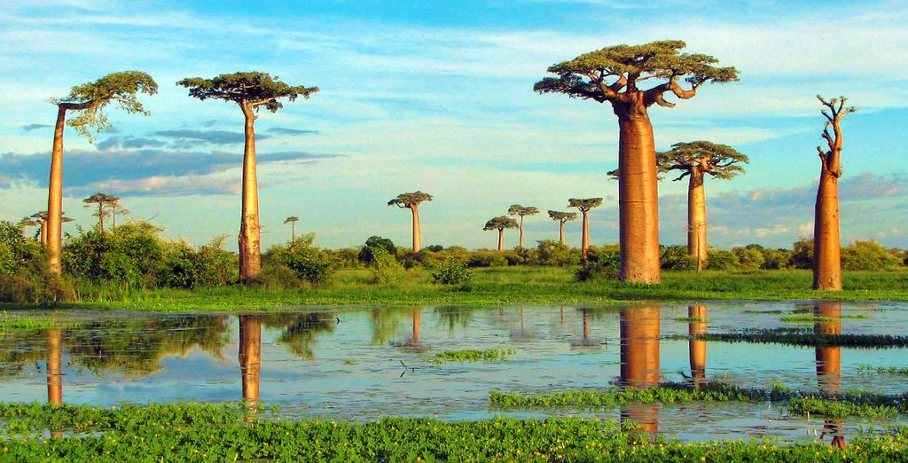 Tour del Nord del Madagascar