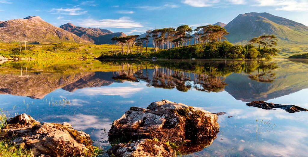 Autotour delle bellezze dell'Irlanda