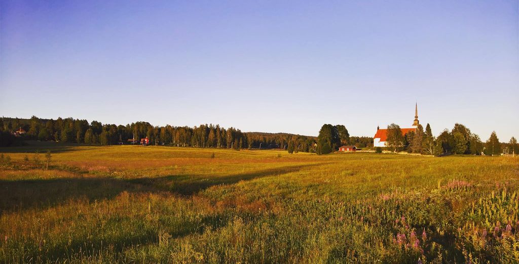 Stoccolma e Ockelbo immersi nella natura della Svezia