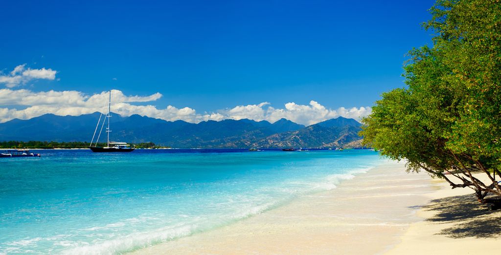 Da Giava a Bali con guida parlante italiano