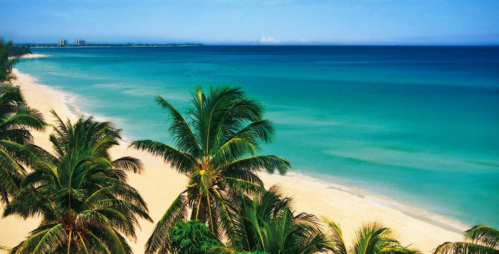 Casa Particular + Hotel Iberostar Playa Alameda 5*