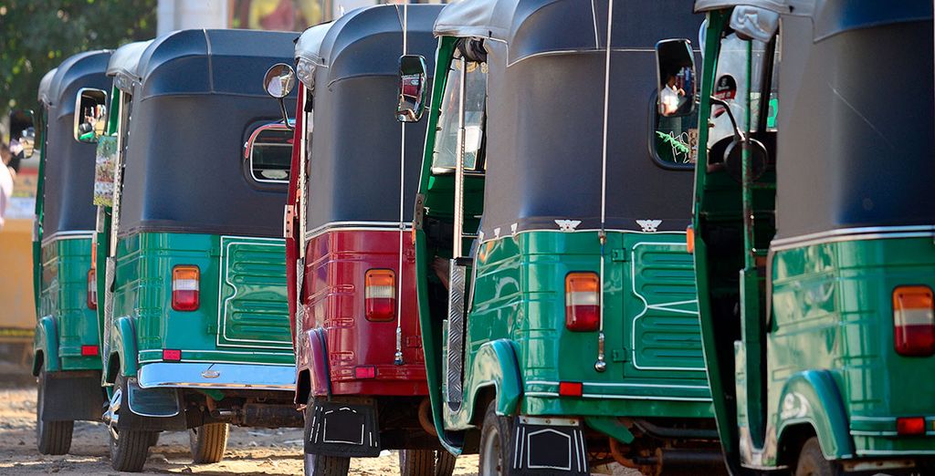 Tour dello Sri Lanka tra parchi naturali e città
