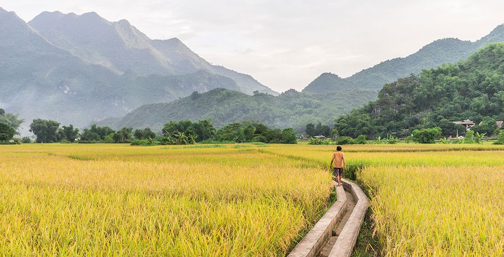 Tour Cambogia & Vietnam con estensione a Sapa
