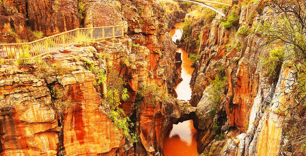 Tour Natura, Cultura e Safari in Sudafrica