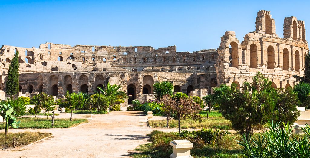 Tunisia tra deserto, oasi, palmeti e laghi salati