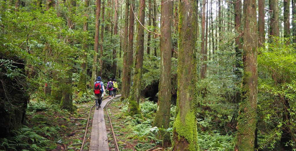 Promenade in Giappone: tra città e natura