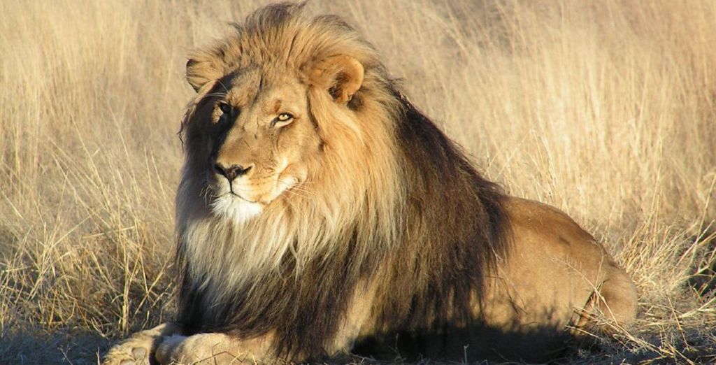 Fly and Drive Sudafrica & Dubai