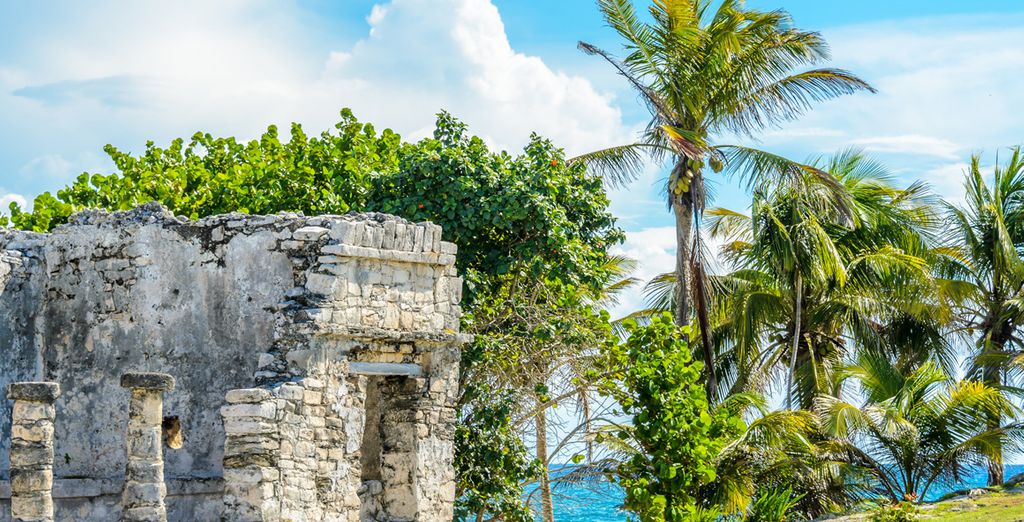 Hotel Coco Rio Playa del Carmen & El Fuerte Boutique Resort