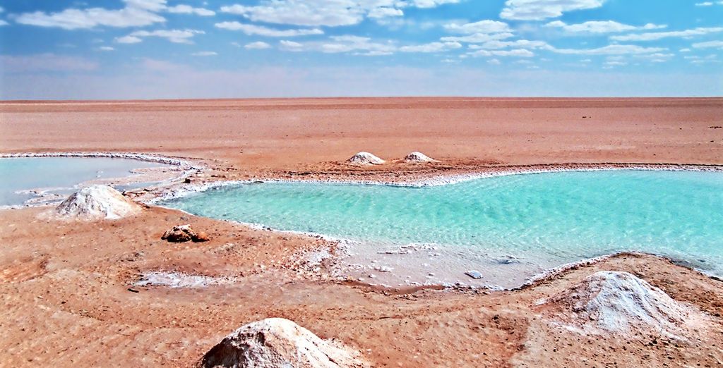 Tunisia tra deserto, oasi, palmeti e laghi salati