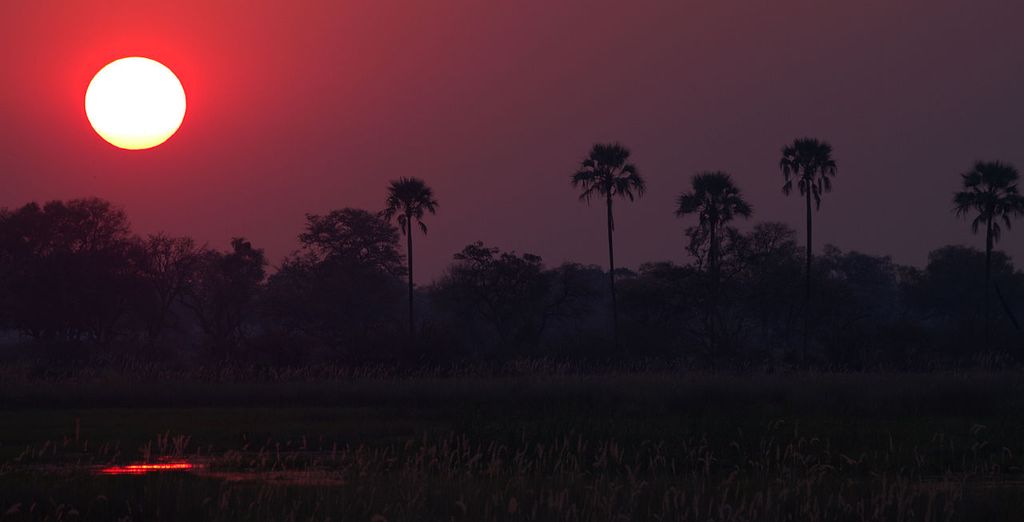 Selvaggio Botswana in campo tendato