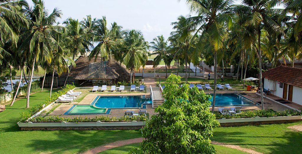 Tour privato del Kerala e soggiorno benessere Ayurvedico