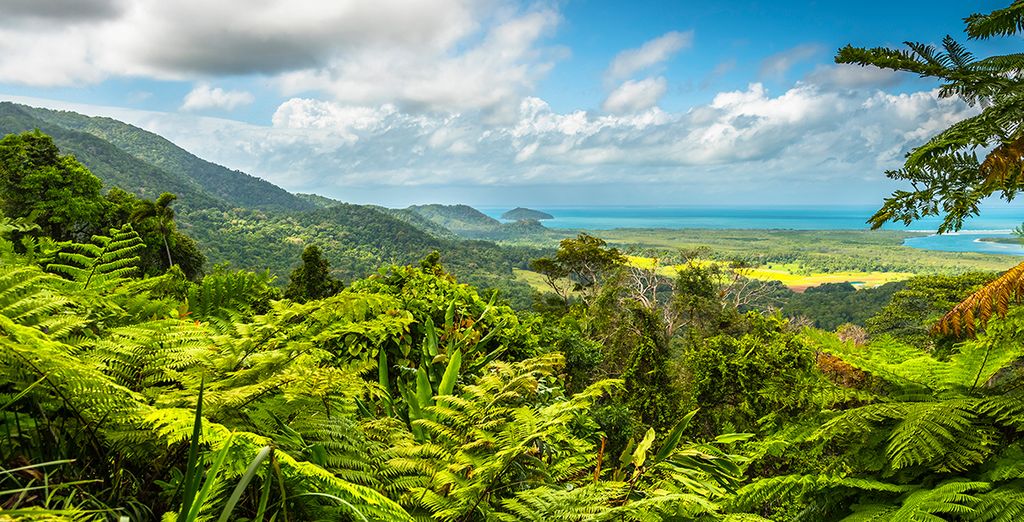 Tour Fly & Drive alla scoperta dell'Australia