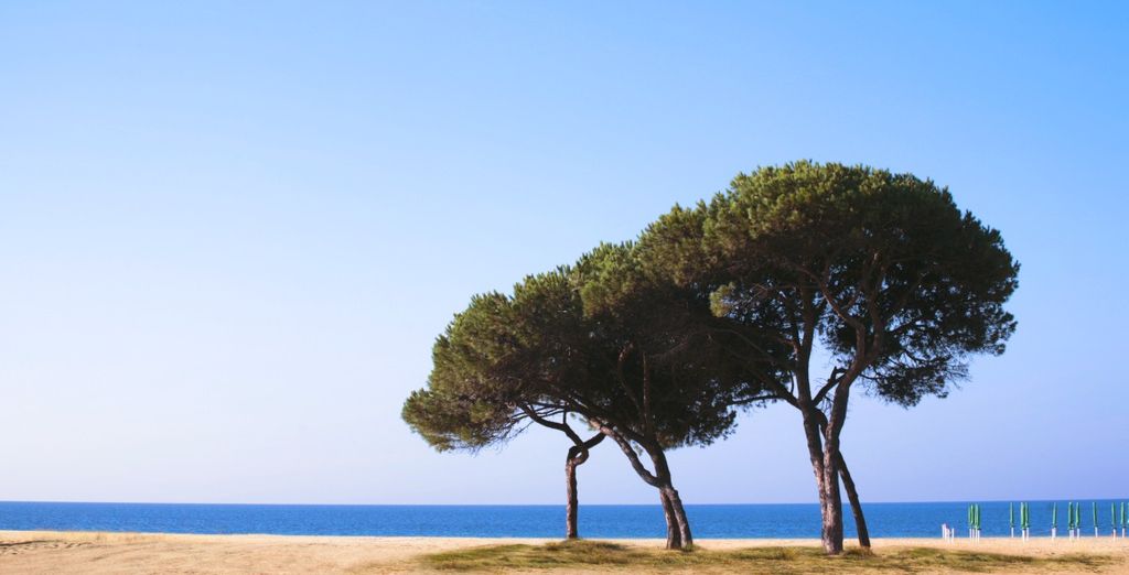 Hotel Califfo 4*