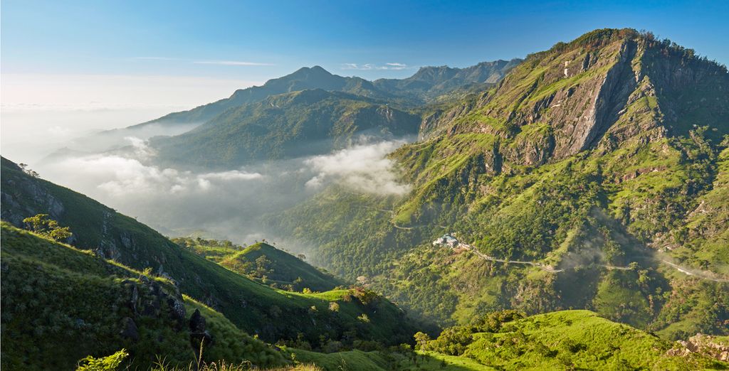 Tour Sri Lanka + Safari