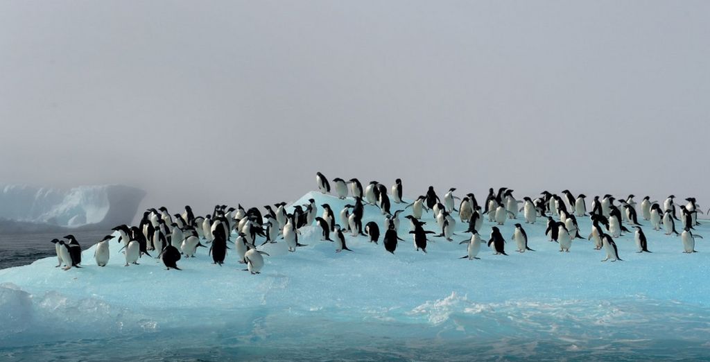Crociera oltre il Circolo Polare Antartico