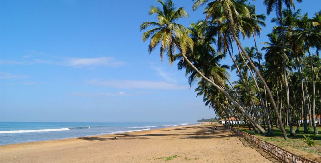 Tour tra cultura, natura incontaminata e mare in Sri Lanka in 4*/5*