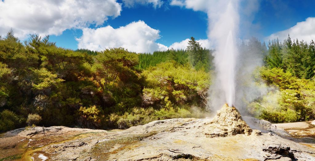 Tour della Nuova Zelanda con guida parlante italiano