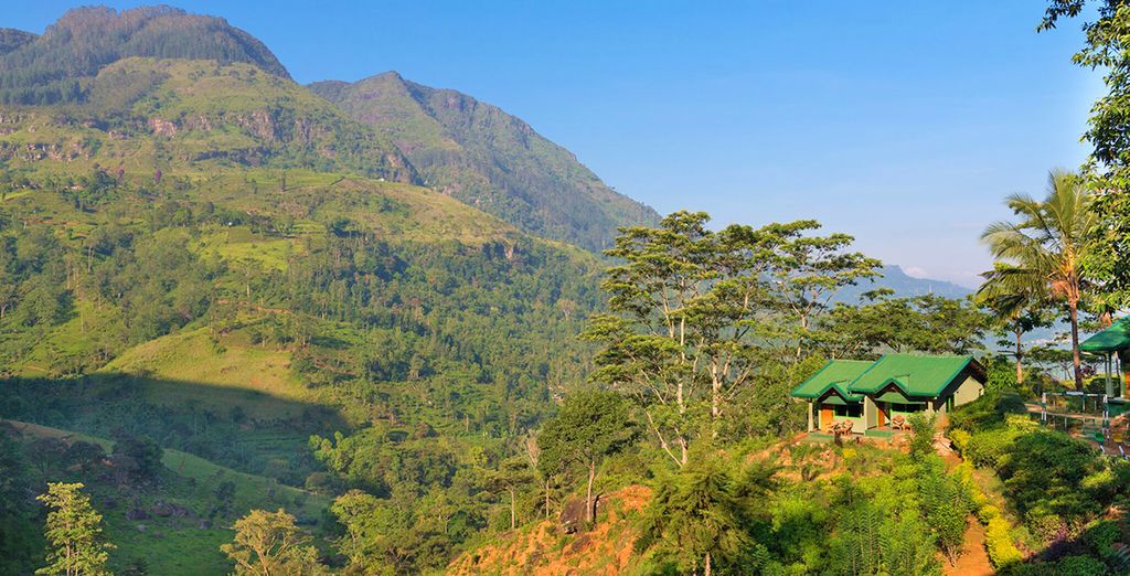 Speciale Capodanno - Tour Sri Lanka con estensione Mare