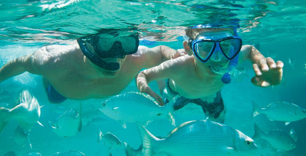 Sunscape Puerto Plata 4*