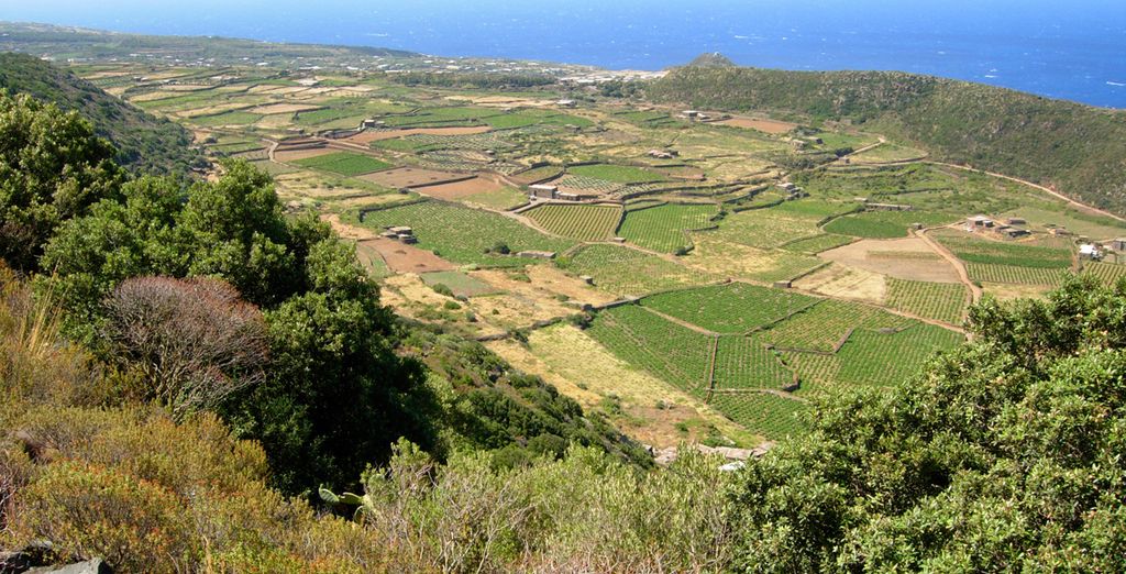Dammusi Pantelleria