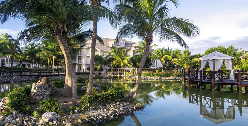 Tour Cuba Classico + Melia Peninsula Varadero 5*