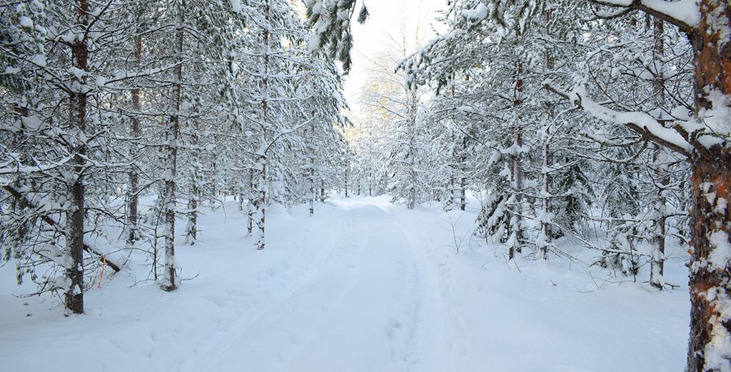 Tour del ghiaccio con possibile estensione a Lulea